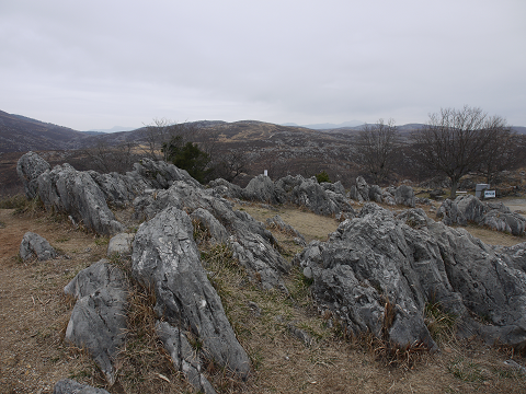 d0153627_1038893.png