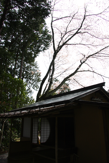 鷹峯・常照寺（後編）_b0169330_186887.jpg