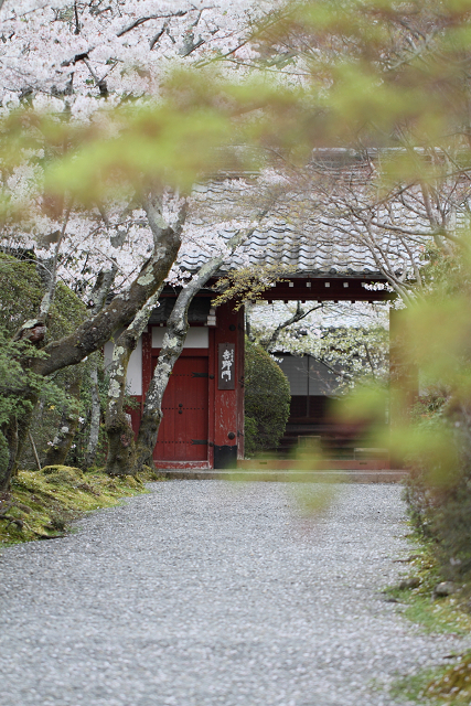 鷹峯・常照寺（後編）_b0169330_84424.jpg