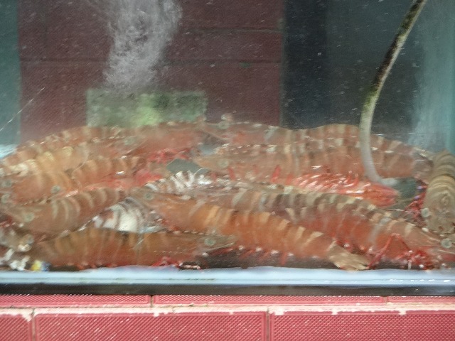 b0248150_16021752.jpg