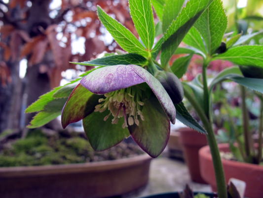 c0147952_9315635.jpg