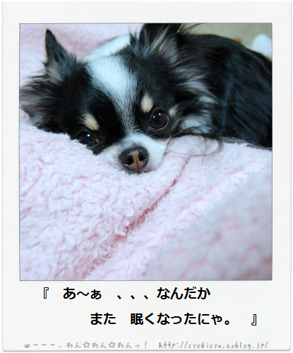 b0112758_14353917.png