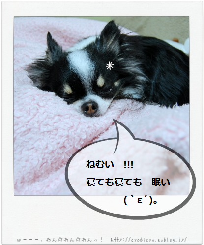 b0112758_1437236.png