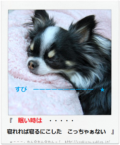 b0112758_14372787.png