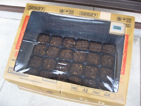 簡易育苗器の自作 ゴーヤの種植え モナー課長の部屋 簡易育苗器の自作 ゴーヤの種植え モナー課長の部屋