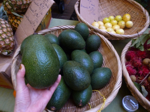 HYATT FARMERS MARKET(ハイアット・ファーマーズ・マーケット)_c0152767_2225936.jpg