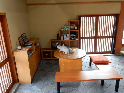 f0054677_06413234.jpg