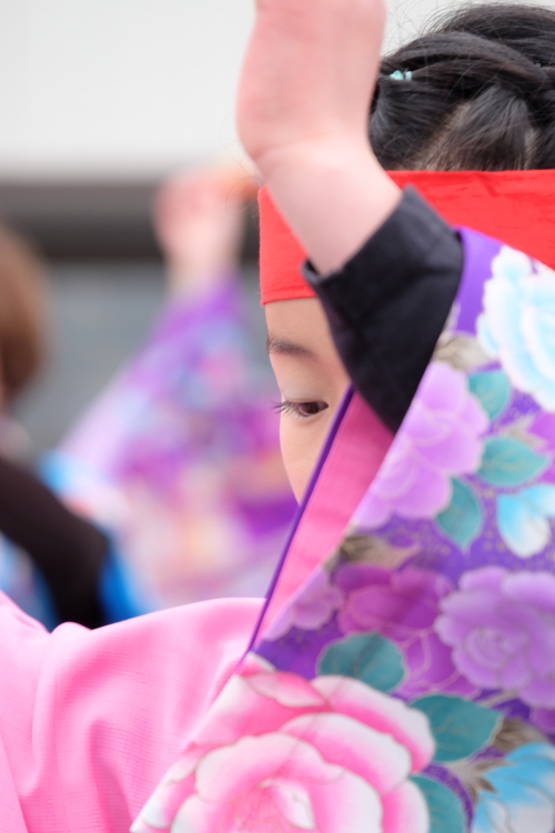 どぶろく＆あんこう鍋祭　 ①　FUJI・X-T1　２０１５・０３・１５_e0143883_1941330.jpg