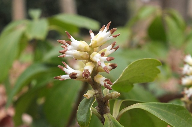 e0070891_2147545.jpg