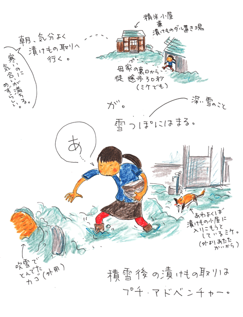 漬け物小屋のジレンマ_f0236291_6275083.gif