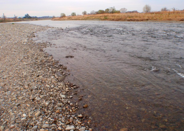 c0006592_1774242.jpg