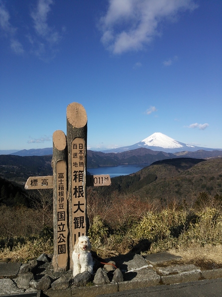 富士山_f0233193_18414592.jpg