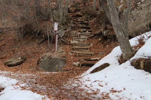 a0320601_22502914.jpg
