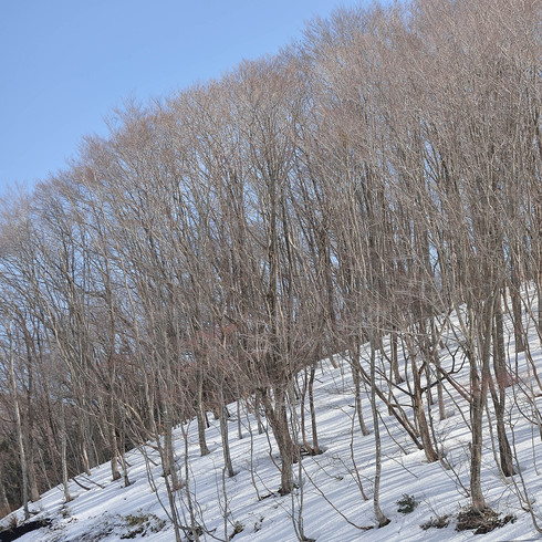 県北.山陰...日和ドライブ_f0099102_11161077.jpg