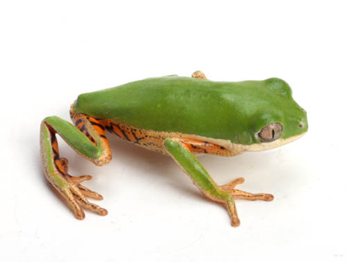 c0165803_2044324.jpg