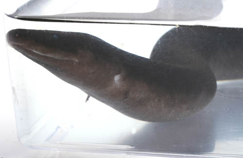 c0165803_20443786.jpg