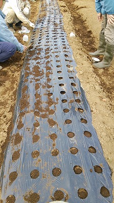 e0270403_17182337.jpg