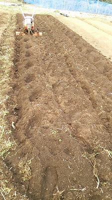 e0270403_17185380.jpg