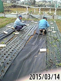 e0270403_849369.jpg