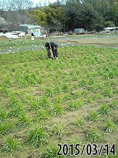 e0270403_8505328.jpg