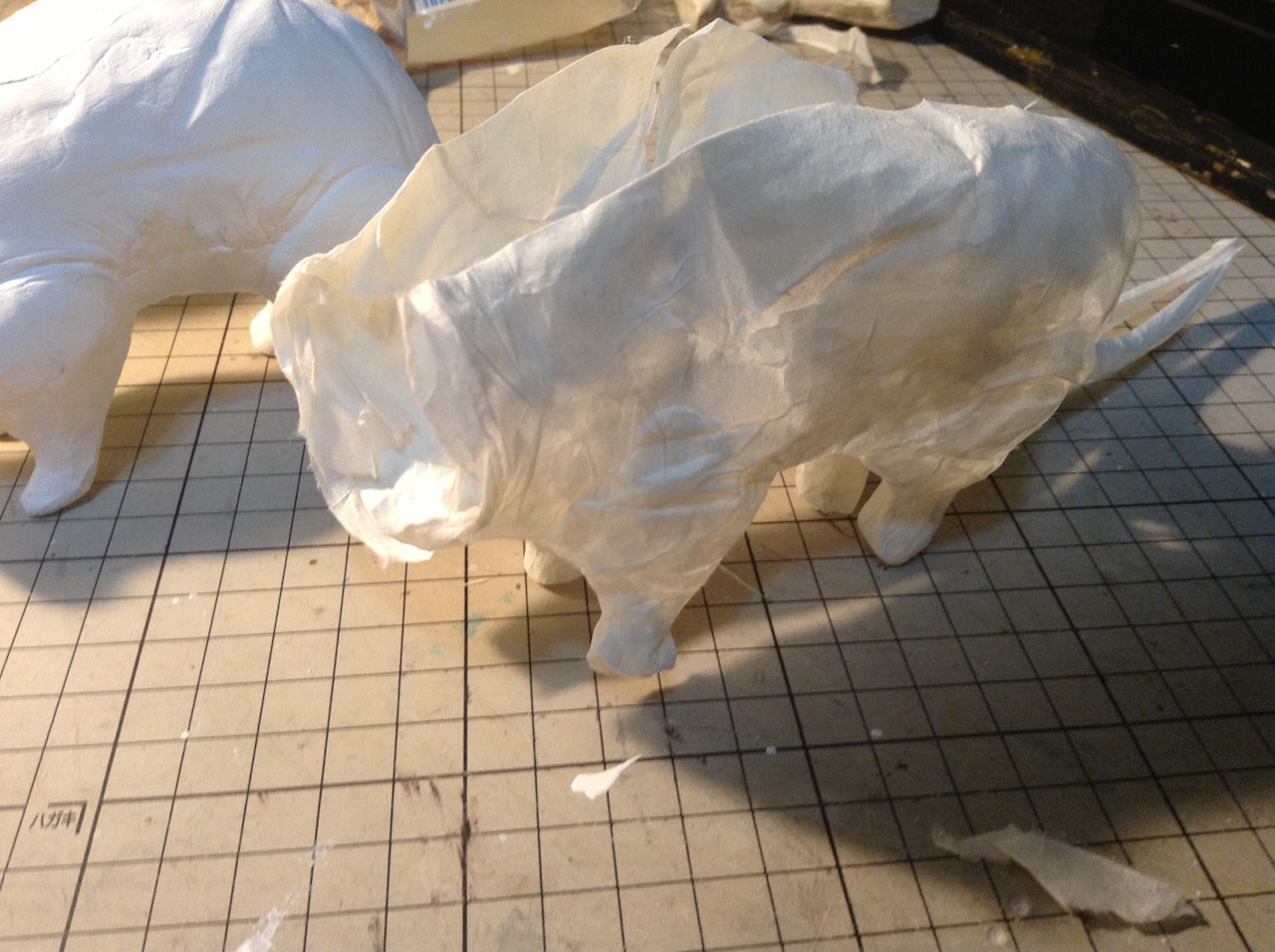 脱皮_b0189209_11442771.jpg