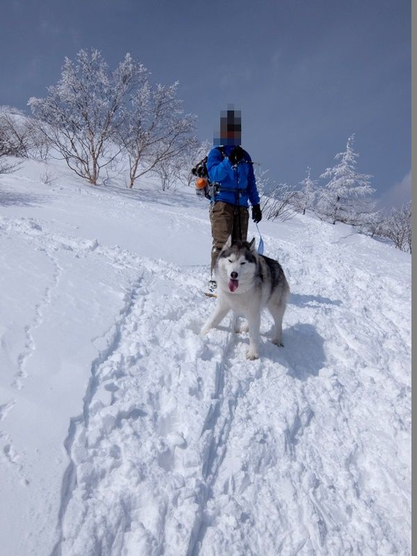 湯ノ丸山下山は尻ソリでぱぴゅーーーんと_b0207615_22334161.jpg