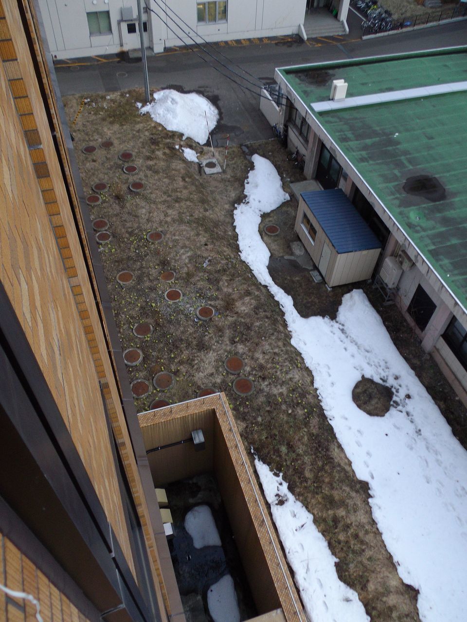 惜しい!公式気温は2桁に届かず_c0025115_19563869.jpg
