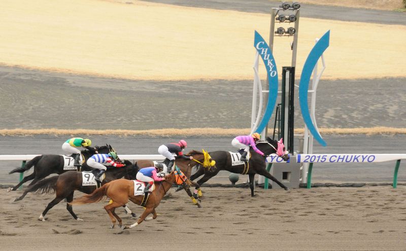 初めての中京競馬場　3月14日‐15日　１４日分_f0053218_1731358.jpg