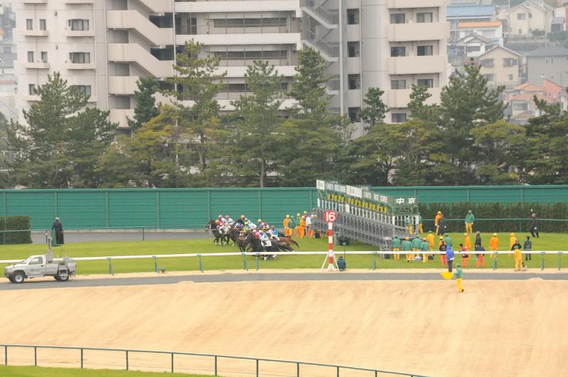 初めての中京競馬場　3月14日‐15日　１４日分_f0053218_17404392.jpg