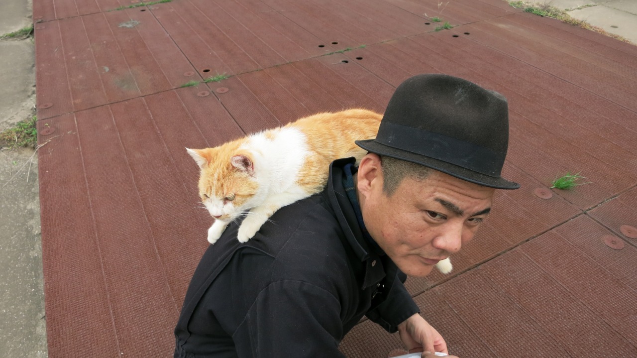 猫と白鳥とセダムと私 Vespa専門店 K B Scooters ベスパの修理やらパーツやらツーリングやらあれやこれやと 猫と白鳥とセダムと私 Vespa専門店 K B Scooters ベスパの修理やらパーツやらツーリングやらあれやこれやと