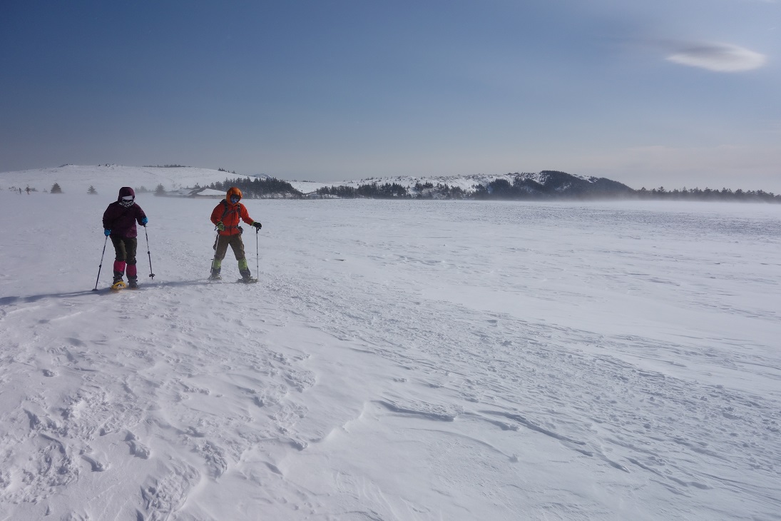 f0348933_21233234.jpg