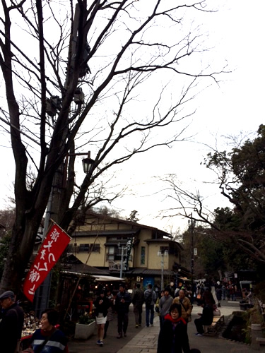 d0248537_757523.jpg