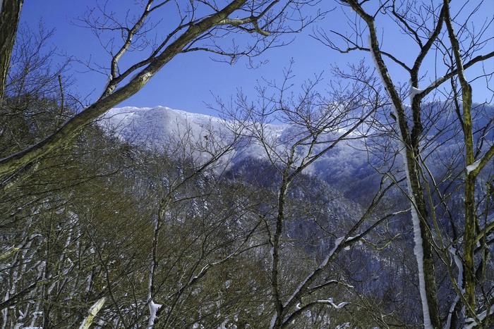 懲りずに 北面白山_d0237340_22403315.jpg