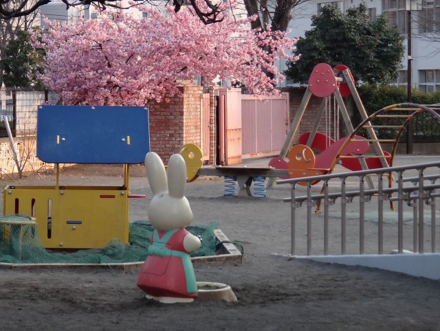 さくらさくら~_e0195743_228917.jpg