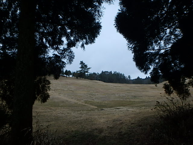 f0334143_8264098.jpg