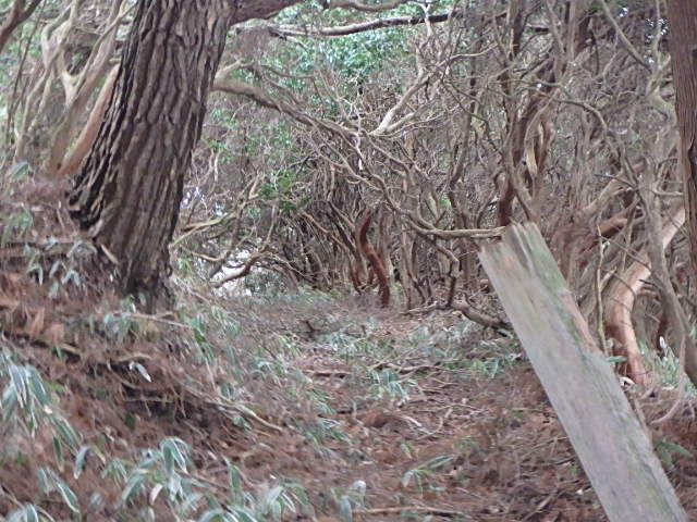 f0334143_8271049.jpg