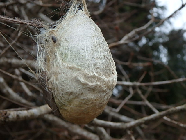 f0334143_8285090.jpg