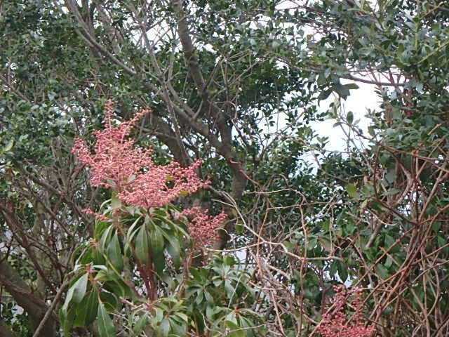 f0334143_8322085.jpg