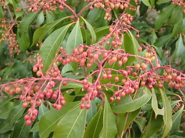 f0334143_832279.jpg