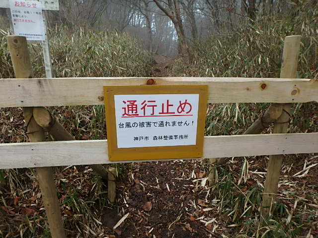 f0334143_8332413.jpg