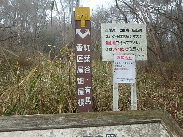 f0334143_8333325.jpg