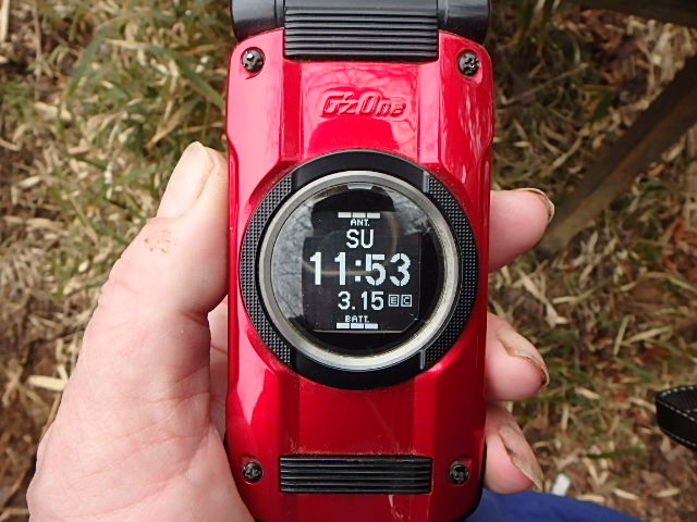 f0334143_8334270.jpg
