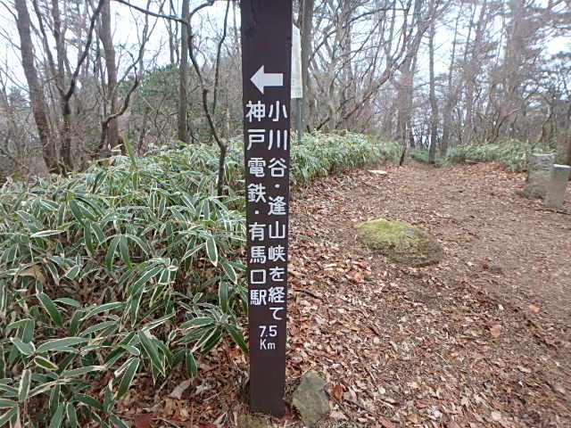 f0334143_8335055.jpg