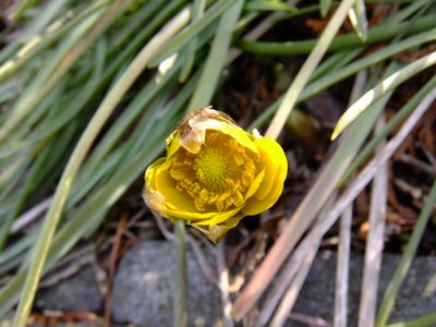 d0232346_17164081.jpg