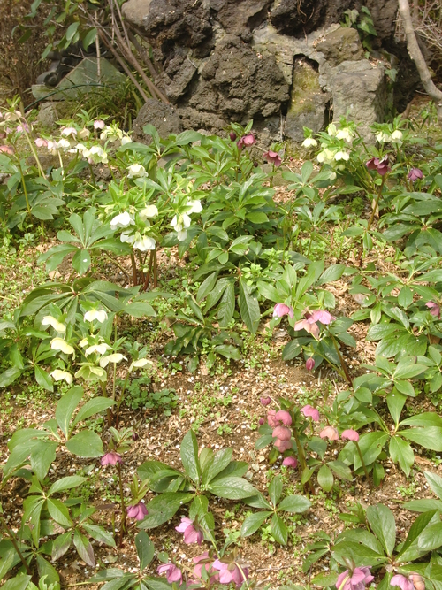f0329849_16493824.jpg