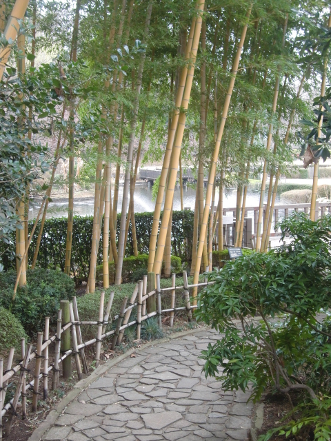 f0329849_1734948.jpg
