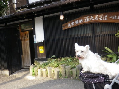 b0239151_12461452.jpg