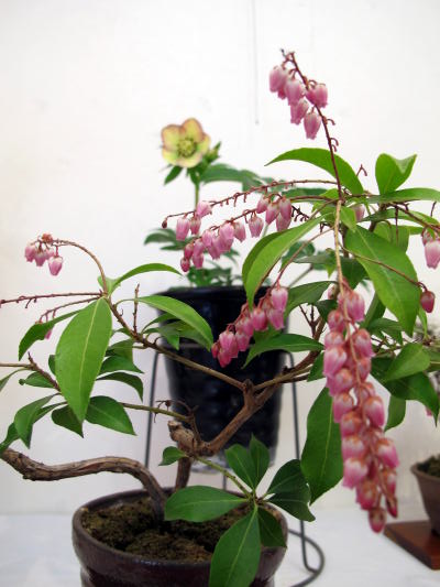 c0147952_045228.jpg