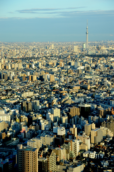 b0283455_1829574.jpg