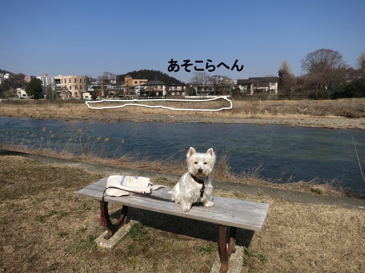 こんなに歩かせていいのかい?_c0260460_13555407.jpg